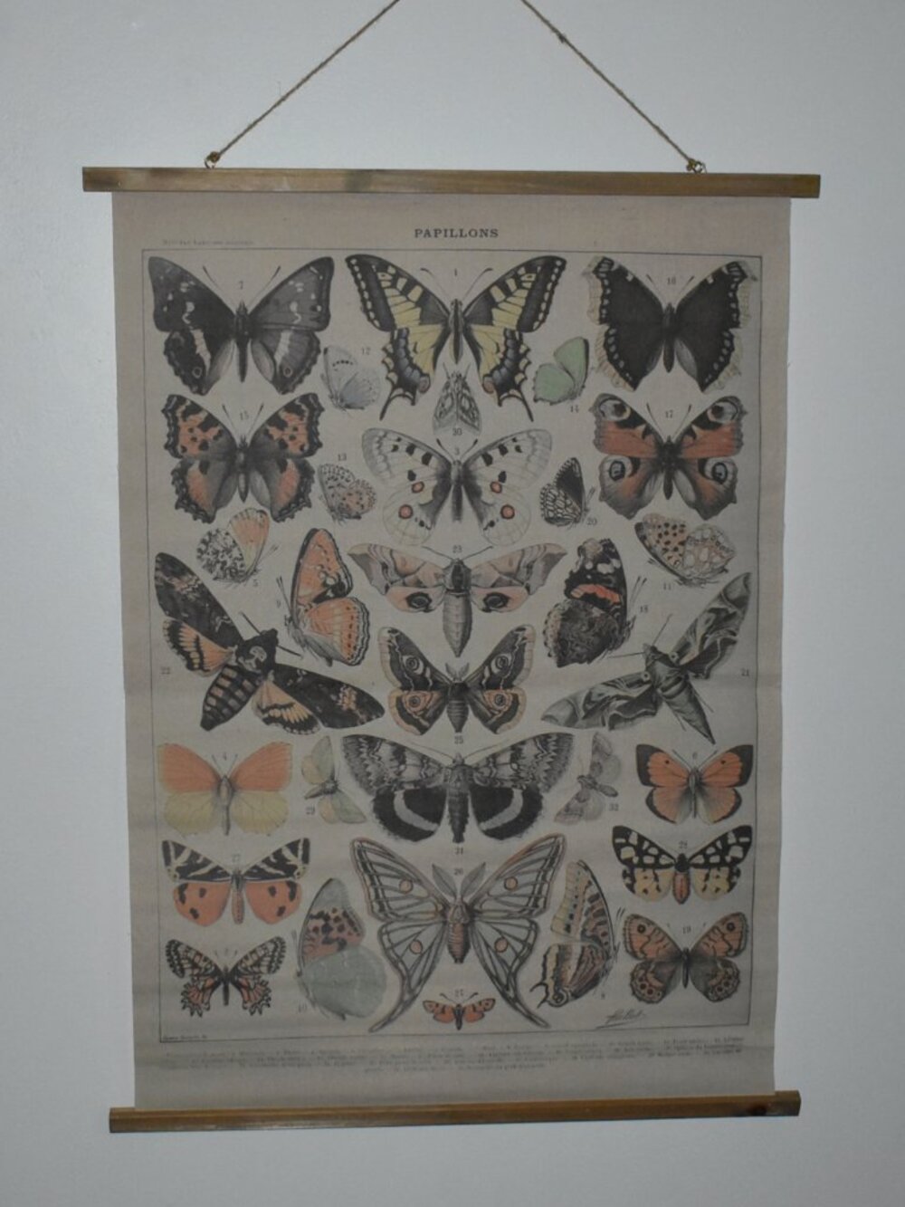 Butterfly Moth Large Linen Canvas Scroll Tapestry Boho Cottagecore Wall Decor